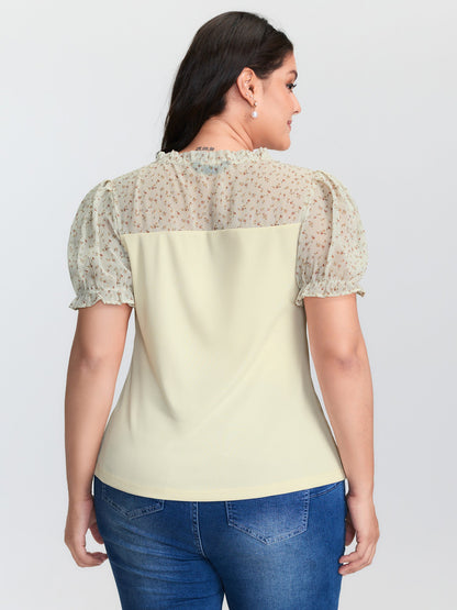 Stretchy Sheer Drawstring Neckline Top