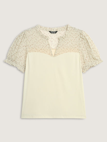 Stretchy Sheer Drawstring Neckline Top