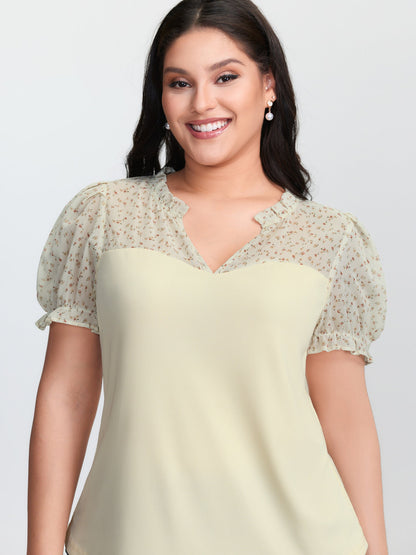 Stretchy Sheer Drawstring Neckline Top