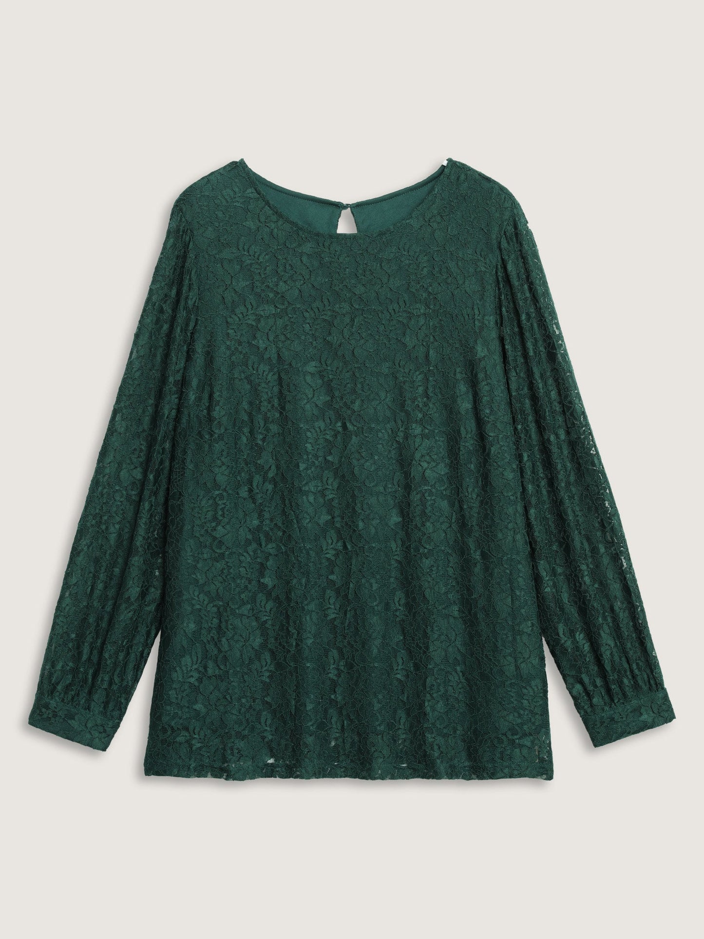 Solid Crochet Lace Mesh Crew Neck Blouse