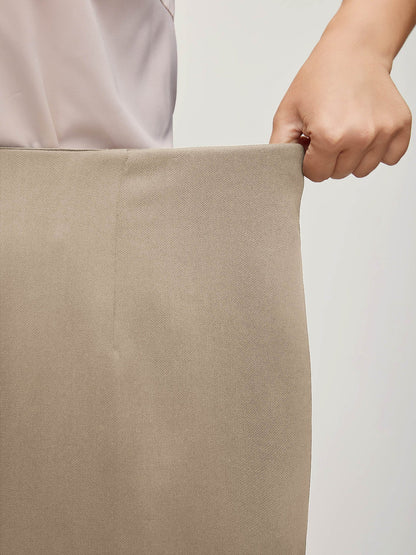 Solid Elastic Waist Pleated Wide Leg Pants